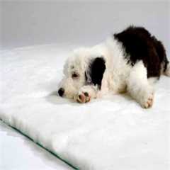 Bronte Glen Traditional Vet Bedding - White